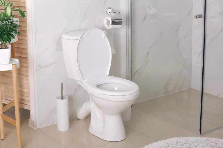 7 Ways To Stop Your Toilet Sweating